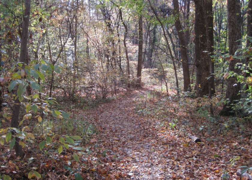 Old Forest State Natural Area, United States
